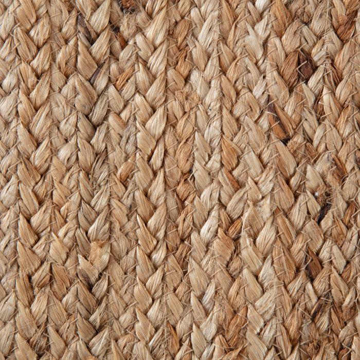 Birch Lane™ Gage Handmade Hand Braided Jute/Sisal Tan Rug & Reviews